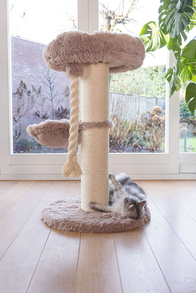 beeztees Kratzbaum Ramiro